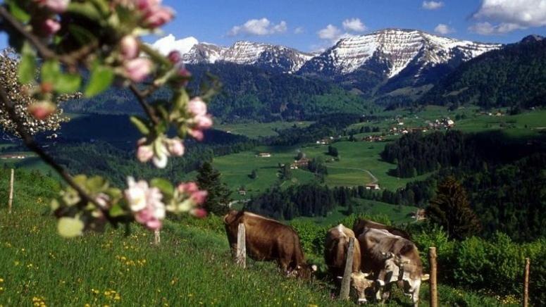 Fewo Alpenbrise, Oberstaufen Dış mekan fotoğraf